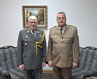 БиХ - Аустрија - одбрана