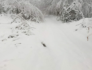 Република Српска - Нови Град - падавине