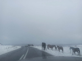 Република Српска - Зворник - "Зворникпутеви"