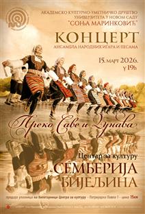 Република Српска - Бијељина - култура