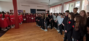 Република Српска - Добој - Гимназија "Јован Дучић"