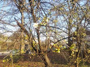 Република Српска - Бањалука - фото-вијест