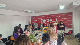 БиХ - Брчко - СНСД