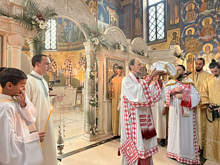 Република Српска - Требиње - СПЦ