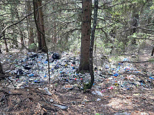 Република Српска - Пале - екологија