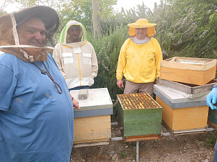 Република Српска - Вишеград - пољопривреда