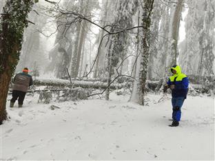 Република Српска - Национални парк "Козара"