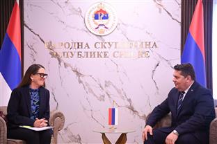 Република Српска - Шведска - Стевандић, Лагерфел