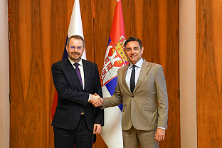 Србија - Руско историјско друштво - Вулин