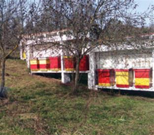 БиХ - Агенција за безбједност хране