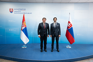 Србија - Словачка - Гашић, Калинак