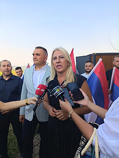 БиХ - српски члан Предсједништва