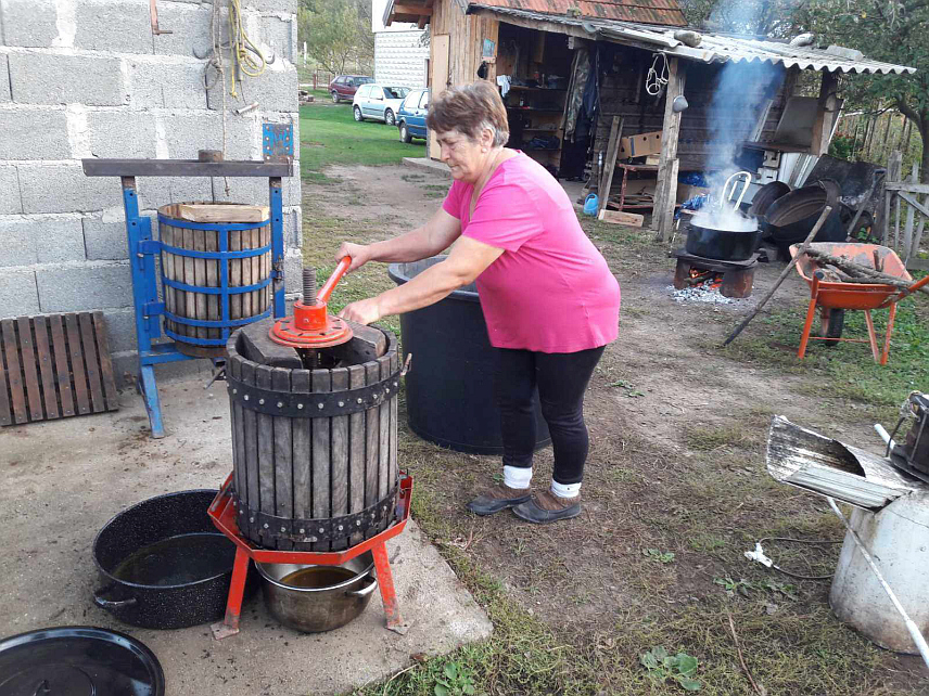 ФОЧА, 21. ОКТОБРА /СРНА/ - На имању породице Милета и Снежане Вишњић у Јошаници код Фоче, на самој обали Дрине, стабла јабуке ове године повила су се од рода, па Снежана већ увелико припрема пекмез, производ карактеристичан за дрински крај, који се добија укувавањем сока од јабука.