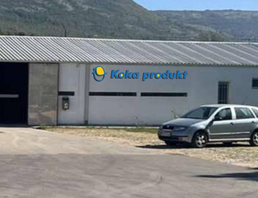 ЉУБИЊЕ, 17. НОВЕМБРА /СРНА/ - Фирма "Кока продукт", која годишње произведе око 250.000 пиленки и 50 милиона конзумних јаја.