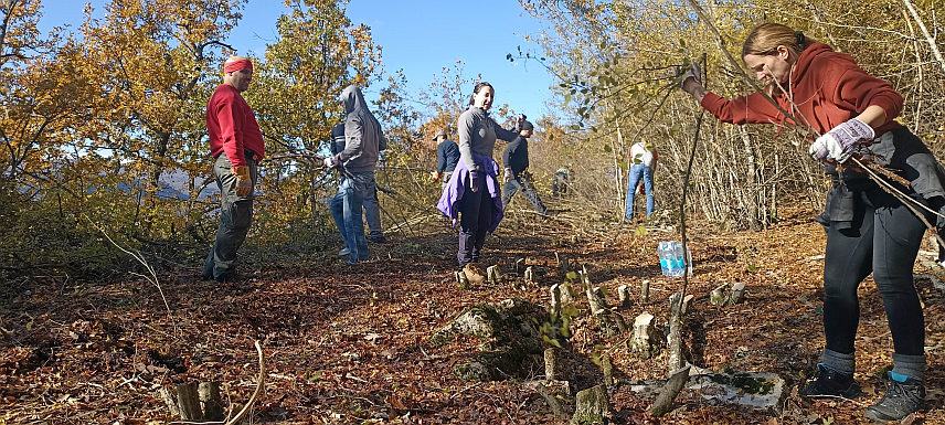ДРВАР, 19.НОВЕМБРА /СРНА/ - У Дрвару су волонтери у четири радне акције очистили су 6.240 метара некадашње жељезничке пруге којом је пролазио парни воз "Ћиро".