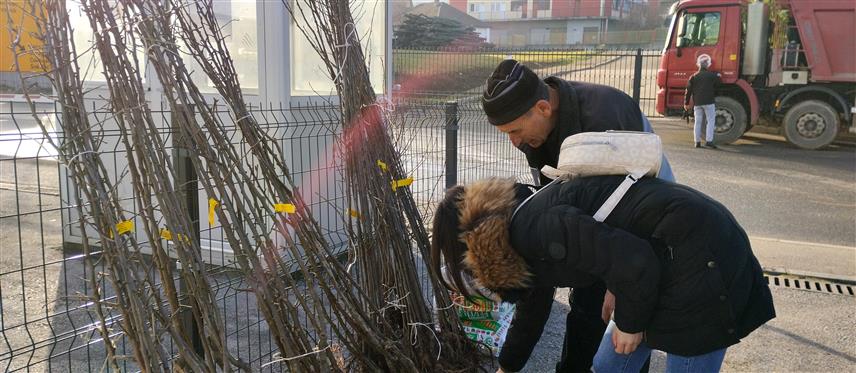 ВЛАСЕНИЦА, 22. ДЕЦЕМБРА /СРНА/ - Пољопривредницима са подручја општине Власеница подијељено је 2.550 садница јабуке и шљиве, у оквиру старт пакета за воћарство, чија је укупна вриједност око 35.000 КМ.