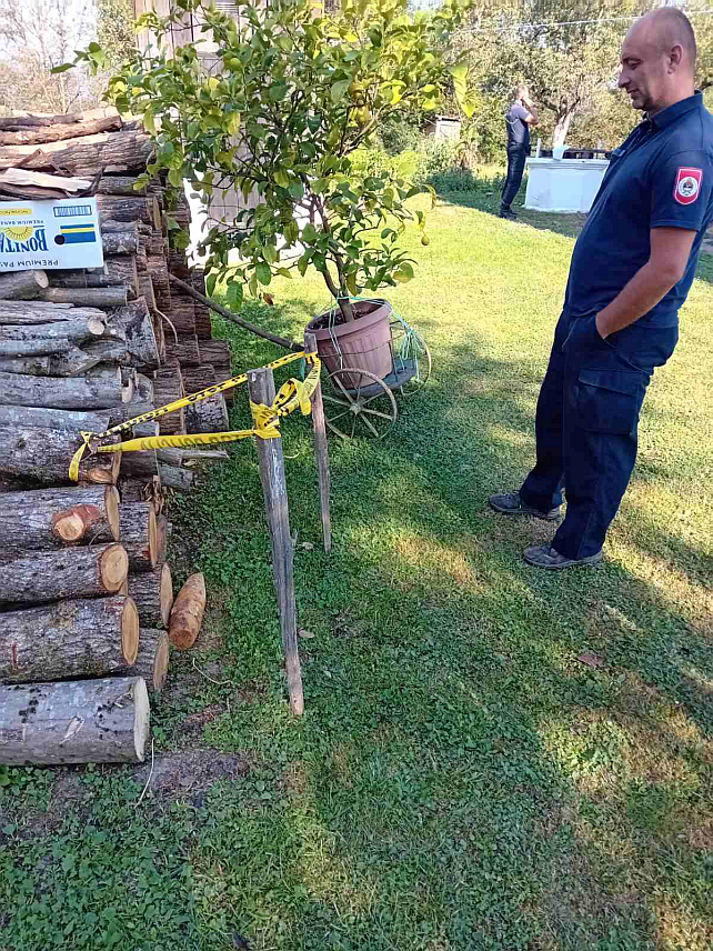 НОВИ ГРАД, 12. СЕПТЕМБРА /СРНА/ - Пројектил заостао из Другог свјетског рата који је пронађен у дворишту мјештанина у Доњем Водичеву код Новог Града.