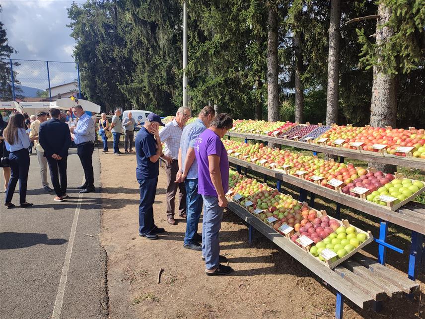 ГРАДИШКА, 15. СЕПТЕМБРА /СРНА/ - У Горњим Подрградцима код Градишке отворена је традиционална привредна манифестација Дани воћа "Поткозарје 2023" на којој учествује више од 50 излагача воћа са подручја Градишке, Козарске Дубице, Приједора и Рибника, те више од 20 привредних субјеката, удружења и задруга који прате пољопривредну производњу.