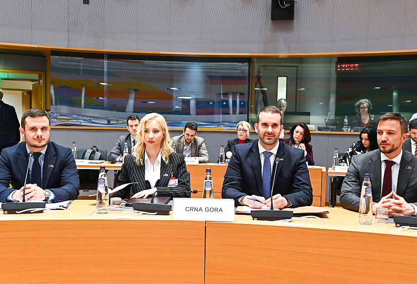 БРИСЕЛ, 29. ЈАНУАРА /СРНА/ - Премијер Црне Горе Милојко Спајић- међувладина конференција Црне Горе и ЕУ.