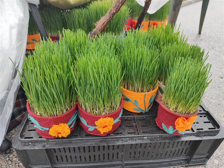 ИСТОЧНО САРАЈЕВО, 4. ЈАНУАРА /СРНА/ - Уочи најрадоснијег хришћанског празника – Божића, на улицама Источног Сарајева велика је понуда бадњака и жита.