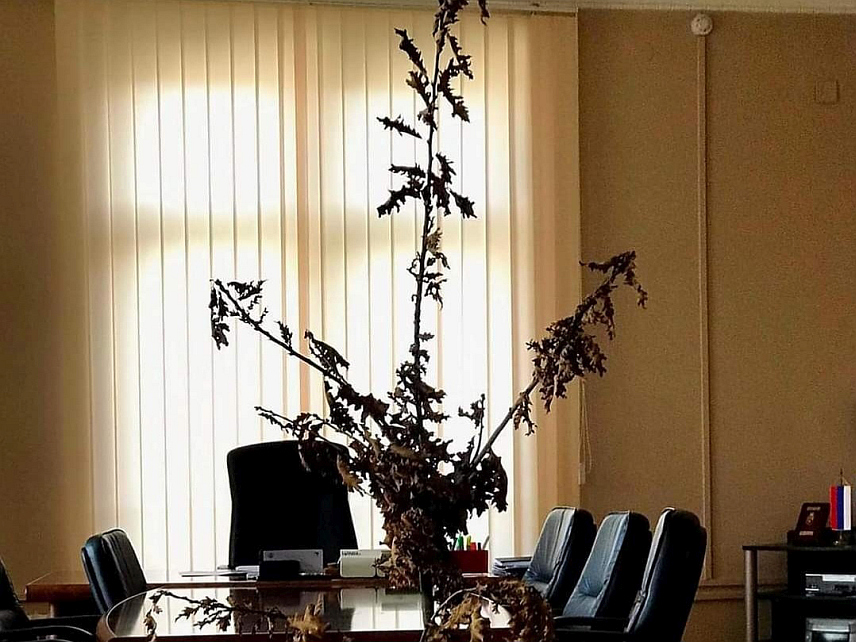 САРАЈЕВО, 5. ЈАНУАРА /СРНА/ - Замјеник министра одбране у Савјету министара Александар Гогановић унио је данас у свој кабинет у згради Министарства одбране у Сарајеву бадњак који му је уручио командант Трећег пјешадијског (Република Српска) пука, бригадир Сретен Милошевић.