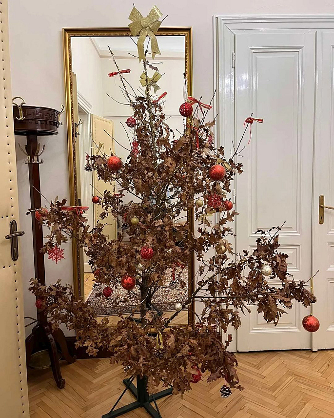 САРАЈЕВО, 5. ЈАНУАРА /СРНА/ - У кабинет српског члана Предсједништва БиХ у Сарајеву традиционално је унесен бадњак, објавила је српски члан Жељка Цвијановић.