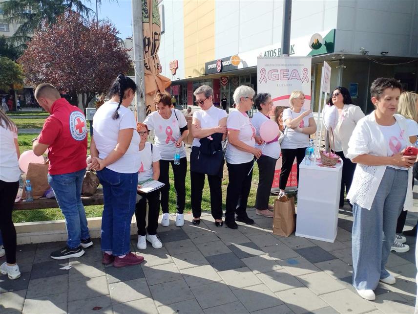 БИЈЕЉИНА, 10. ОКТОБРА /СРНА/ - Удружење жена обољелих од карцинома дојке „Геа“ током уличне акције суграђанима су подијелиле промотивни материјал и роза тракице које су заштитни знак борбе против карцинома дојке и такозваног „Ружичастог октобра“ посвећеног подизању свијести о спречавању и лијечењу болести.