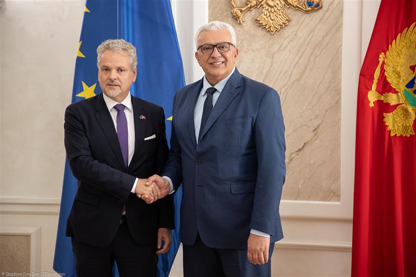 ПОДГОРИЦА, 25. ОКТОБРА /СРНА/ - Предсједник црногорске Скупштине Андрија Мандић и новоизабрани амбасадор ЕУ у Црној Гори Јохан Сатлер на састанку у Подгорици.
