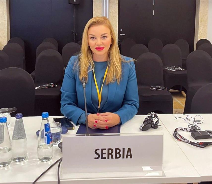 БЕОГРАД/ВАРШАВА, 3. ОКТОБРА /СРНА/ - Једно од најдуготрајнијих и неријешених избјегличких проблема у Европи је питање српских избјеглица са територија бивше Југославије, рекла је комесар за избјеглице и миграције Србије Наташа Станисављевић на Варшавској конференцији о људској димензији ОЕБС-а.