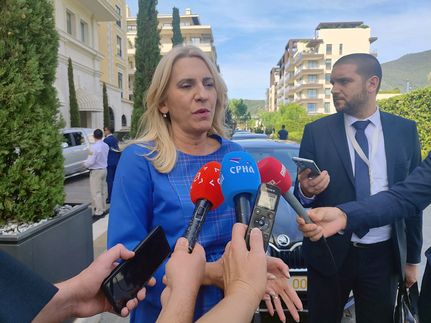 ТИВАТ, 8. ОКТОБРА /СРНА/ - Српски члан Предсједништва БиХ Жељка Цвијановић рекла је да кретање БиХ ка ЕУ предуго траје и да ствари треба убрзати и олакшати.