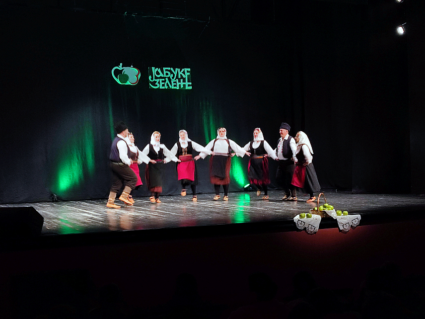 ГРАДИШКА, 16. НОВЕМБРА /СРНА/ - У Градишци је вечерас организован Фестивал ветеранских анасамбала "Три јабуке зелене", на којем су наступиле ветеранске групе из овог града, Крања, Приједора, Нове Тополе, Козарске Дубице и Српца.	