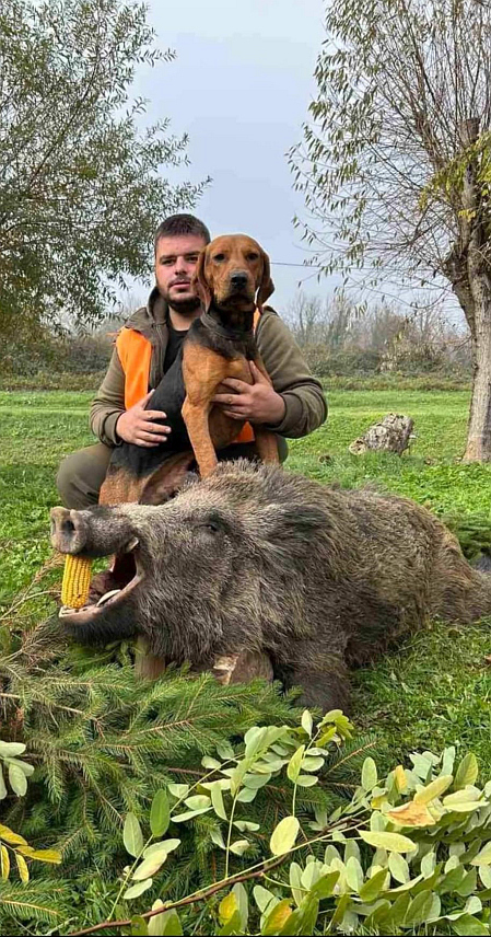 ДЕРВЕНТА, 18. НОВЕМБРА /СРНА/ - У ловишту Ловачког удружења "Мотајица" Дервента, члан секције Лужани Мирослав Чечавац одстријелио је вепра капиталца од 162 килограма.