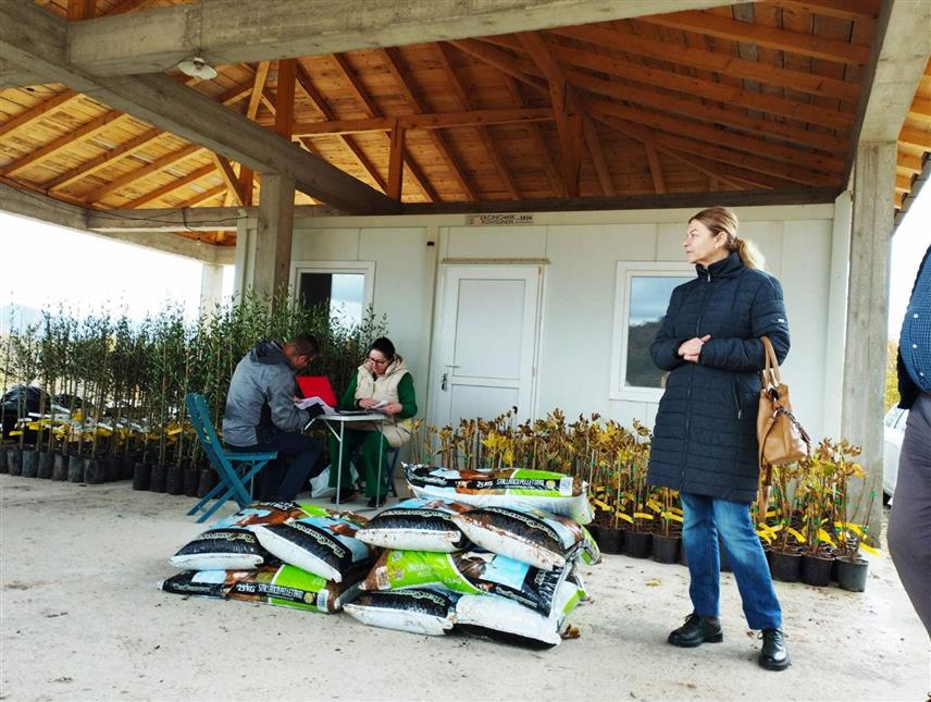 ТРЕБИЊЕ, 22. НОВЕМБРА /СРНА/ - У Требињу је почела реализација пројекта кооперантске органске производње смокве и маслина између Пољопривредне задруге "Смоквица" и 20 пољопривредних произвођача са подручја града, а уз помоћ требињског Аграрног фонда.