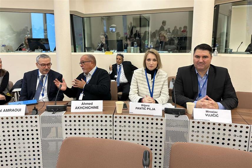 ПАРИЗ, 11. ДЕЦЕМБРА /СРНА/ - Члан Делегације БиХ Мирослав Вујичић на сједници Комитета Парламентарне скупштине Савјета Европе за политичка питања и демократију гласао је против прелиминарног приједлога извјештаја који припрема Теодора Бакојани из Грчке у вези са обновом свјетског поретка заснованог на правилима.