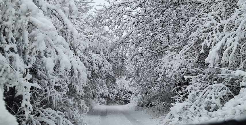 ДРВАР, 23. ДЕЦЕМБРА /СРНА/ - Село Пољице код Дрвара данас је без струје због снијега и мећаве, а путеви у селу су заметени.