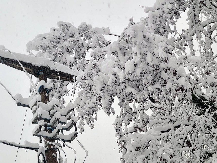 ДОБОЈ, 24. ДЕЦЕМБРА /СРНА/ - Обилне сњежне падавине отежавају отклањање кварова на електромрежи због којих дијелови Добоја и Теслића немају струју, рекао је Срни извршни директор за теренске операције у "Електро-Добоју" Немања Марковић и поручио да су ангажоване све расположиве екипе.
