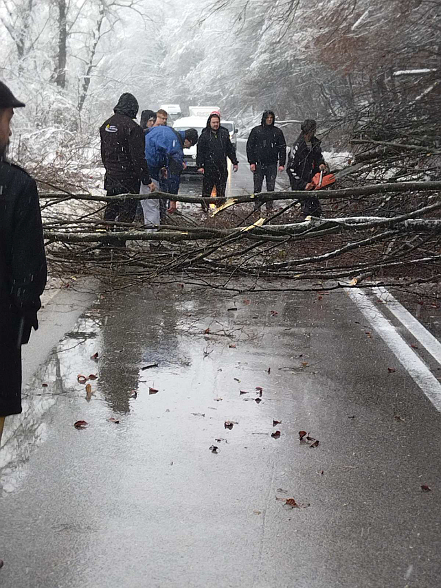 ДОБОЈ, 25. ДЕЦЕМБРА /СРНА/ - Сабораћај у Ритешићу на путу Добој-Модрича поново је успостављен, након што су се возачи сами организовали и уклонили стабла која су пала на коловоз.