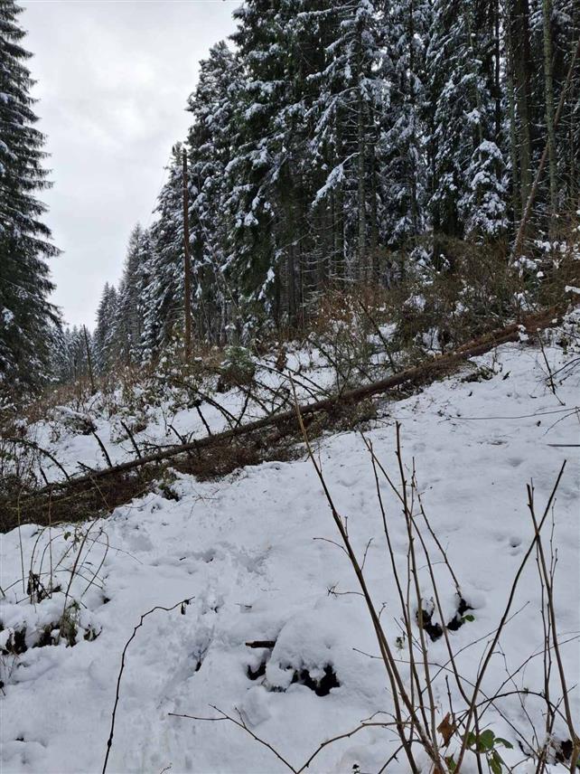 СОКОЛАЦ, 8. ДЕЦЕМБРА /СРНА/ - Група мјештана више села са подручја Сокоца изразили су незадовољство због честих и вишедневних прекида у снадбијевању електричном енергијом са далековода Каљина и траже да се тај проблем ријеши.