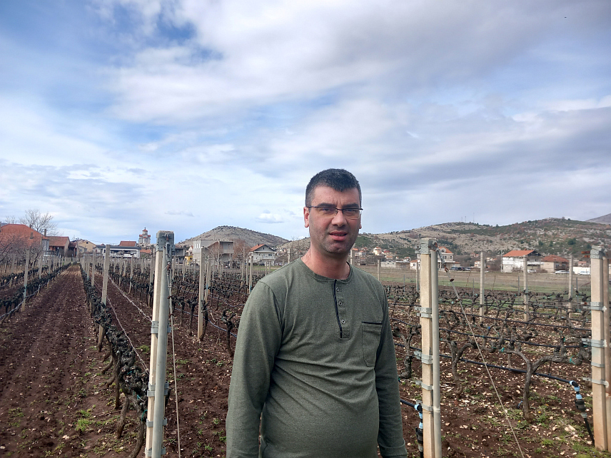 ТРЕБИЊЕ, 13. ФЕБРУАРА /СРНА/ - Херцеговина има добро земљиште за развој винове лозе, резидбом се то поспјешује и добија квалитетно грожђе, а самим тим и квалитетна вина, изјавио је агроном Ален Предић.