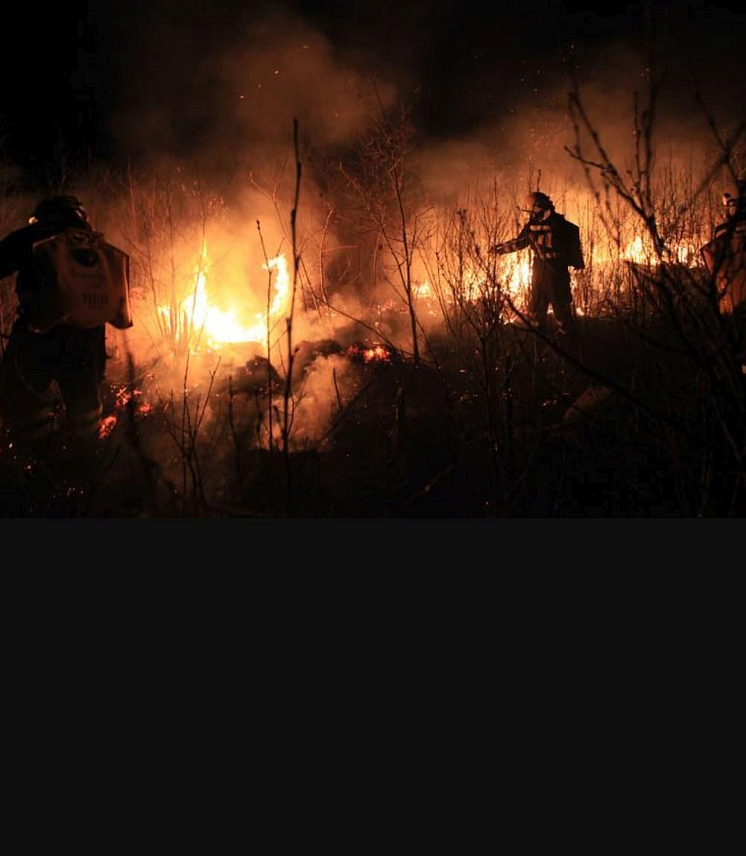 ГАЦКО, 1. ФЕБРУАРА /СРНА/ - Више пожара на отвореном активно је у више села на подручју општине Гацко, али за сада не угрожавају куће и објекте.