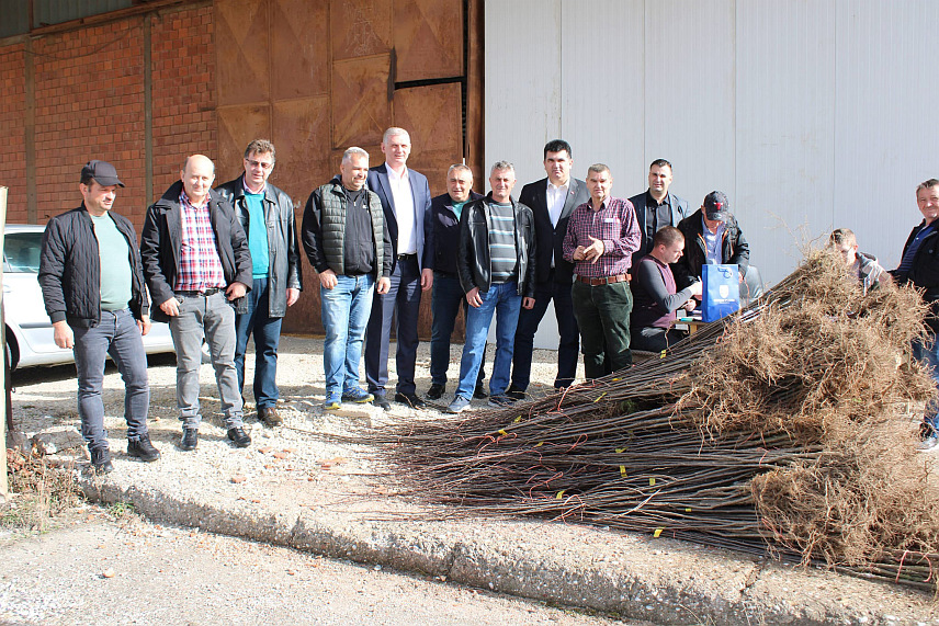 ЛОПАРЕ, 28. ФЕБРУАРА /СРНА/ - Општинска управа Лопаре подијелила је 3.000 садница шљиве за 57 пољопривредних произвођача са подручја ове локалне заједнице.