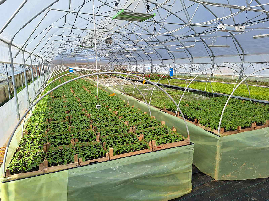 ЛАКТАШИ, 20. МАРТА /СРНА/ - На имању пољопривредног произвођача Драшка Башића у Слатини код Лакташа данас је промовисан пројекат "Технолошке иновације и примијењено истраживање у расадничкој производњи воћа", у оквиру којег је инсталиран савремени пластеник са аутоматским управљањем.