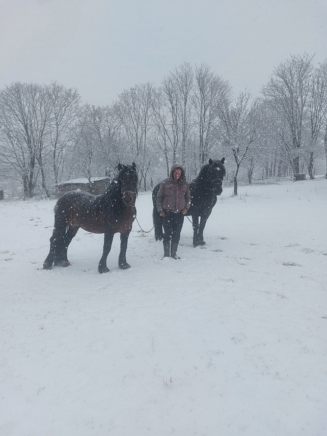ДРВАР, 24. МАРТА /СРНА/ - У Дрвару од јутрос пада снијег, висина сњежног покривача у околним селима је неколико центиметара, али су сви путеви проходни.