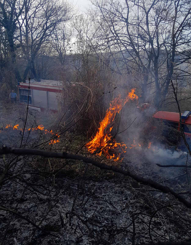 МИЛИЋИ, 31. МАРTА /СРНА/ - Седам ватрогасаца са три возила ноћас су у селу Вишковићи код Милића гасили пожаром захваћене саднице, ниско растиње и шуму, а захваљујући њиховој брзој интервенцији ватра није стигла до оближњих кућа, иако им је гашење отежавао јак вјетар, речено је Срни у Територијалној ватрогасно-спасилачкој јединици.