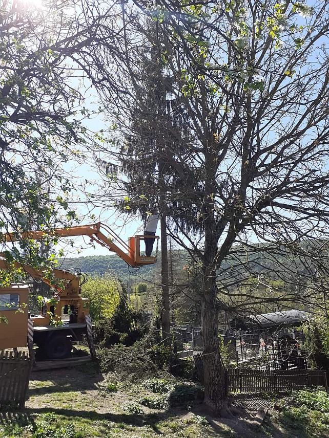 ДРВАР,.14.АПРИЛА /СРНА/ - У Дрвару у Мјесној заједници Tрнинић Бријег почело уређење гробља захваљујући подршки локалне заједнице.