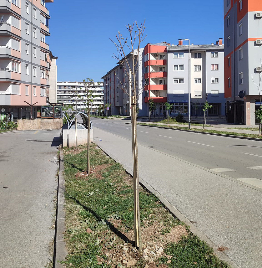 ИСТОЧНО НОВО САРАЈЕВО, 15. АПРИЛА /СРНА/ - Општинска управа Источно Ново Сарајево реализовала је, у оквиру уређивања зелених површина, окопавање и орезивање стабала, а посађено је и 150 вишегодишњих стабала у развијеном стању на подручју ове локалне заједнице.