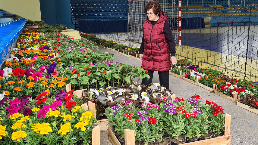 ДОБОЈ, 18. AПРИЛА /СРНА/ - У Добоју је почела подјела око 10.320 садница за 86 корисника - предшколских и школских установа, те заједнице етажних власника /ЗЕВ/ који су се пријавили на позив Градске управе "За љепши и уређенији Добој".