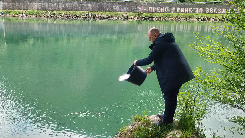 ВИШЕГРАД, 24. АПРИЛА /СРНА/ - Ријека Дрина порибљена је са 2.200 килограма млађи поточне пастрмке и 3.000 килограма млађи шарана у горњодринском сливу захваљујући донацији предузећа "Хидроелектране на Дрини".