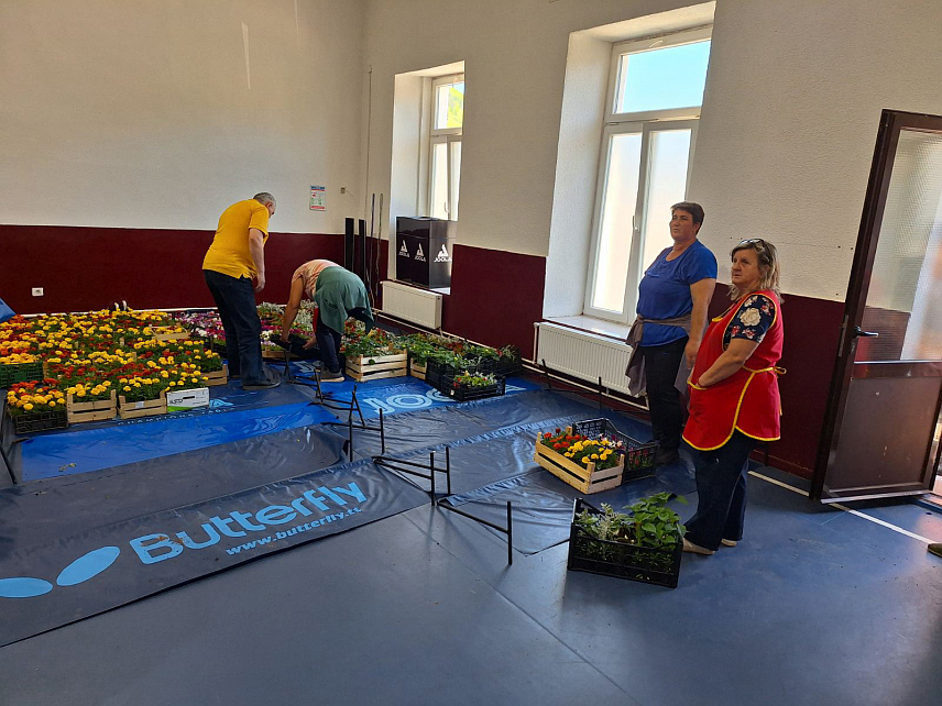 ФОЧА, 29. АПРИЛА /СРНА/ - Локална управа подијелила је данас заједницама етажних власника, јавним установама и предузећима у Фочи око 3.800 садница сезонског цвијећа у оквиру акције "За љепшу и уређенију Фочу".