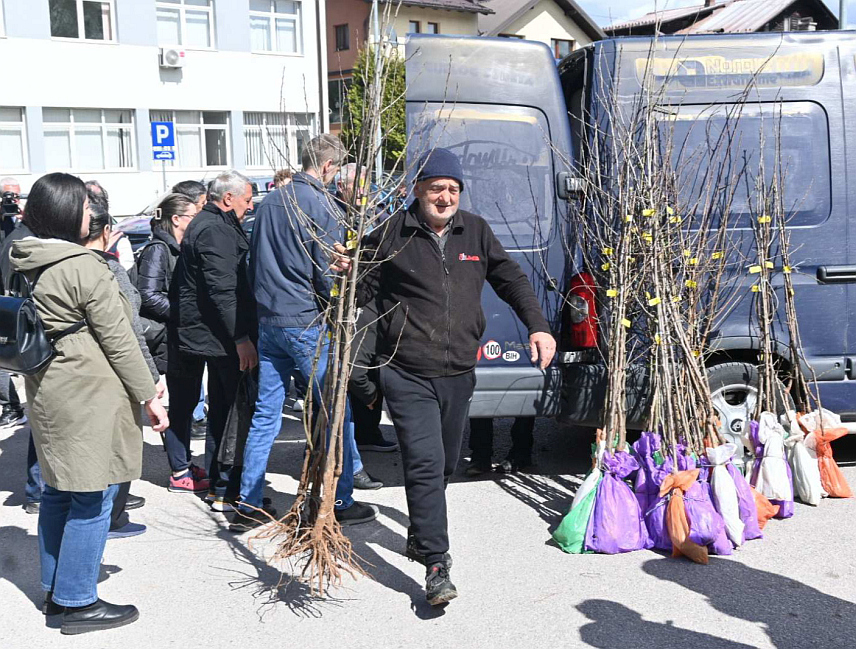 ПАЛЕ, 2. АПРИЛА /СРНА/ - Општина Пале данас је у оквиру програма подстицаја подијелила 1.500 садница воћа укупне вриједности 6.000 КМ.